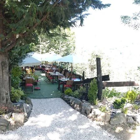 Bragard Limone Piemonte