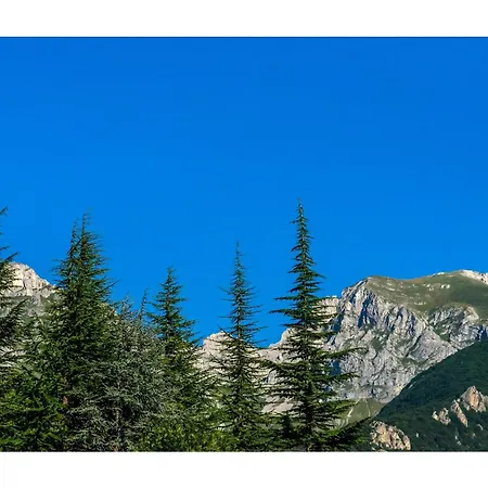Bragard Limone Piemonte